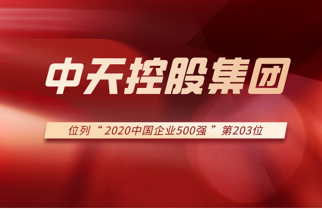 304am永利集团列2020中国企业500强第203位！